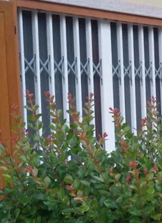Sicurezza della casa